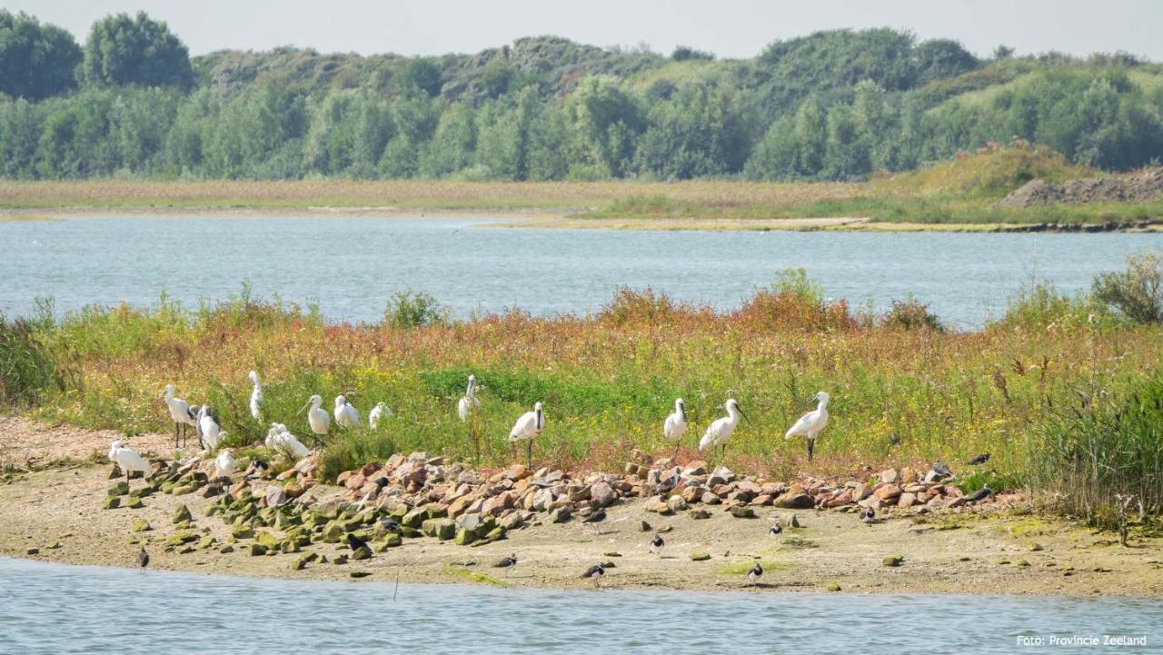 Molecaten Park Waterdunen Breskens Eksteriør billede